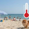 A bright sunny day on a Pomeranian beach with clear blue sky, people sunbathing on towels, children playing in shallow water, a beach umbrella, and a large red thermometer icon indicating a high temperature, all depicted in a realistic style
