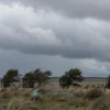 A dramatic landscape of the Rostov region on a windy day, showing fields, trees, and grass bending under strong gusts of wind, with swirling clouds and a sense of motion in the sky, no text or symbols
