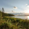 A bright summer landscape of the Pomorye region on May 19, showing a sunny sky with warm golden light, gentle heat haze over a forested area and a calm lake, with a few scattered clouds hinting at possible light rain, no people or text