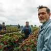 A realistic scene set in a Finnish berry farm showing several migrant workers in work clothes looking concerned or deceived, with rows of ripe berries and a distant corporate office building in the background, under a cloudy northern sky; the atmosphere conveys a sense of exploitation without any visible text or signage