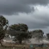 A dramatic southern wind scene with squalls, showing gusts of wind blowing through a landscape, with trees bending, clouds swirling, and a sense of turbulence