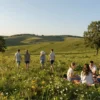 A bright, sunny day in the Moscow region on May 21, featuring warm, golden light illuminating a lush green meadow with scattered wildflowers and a few trees. In the foreground, a group of people in light summer clothing are walking or sitting on a picnic blanket, enjoying the warm weather. The background shows a gently rolling landscape with distant hills and a clear blue sky, emphasizing the +30°C heatwave.
