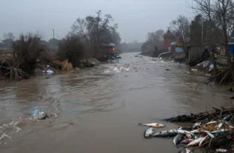 A wide, polluted river flowing through a dense, smog-filled landscape, with visible industrial waste and dead fish floating on the surface, surrounded by barren trees and a gloomy sky, conveying the urgent sense of suffocation and environmental crisis.