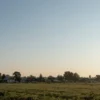 A peaceful early morning scene in Voronezh region showing a calm sky with no drones, a quiet village or countryside landscape, soft sunlight rising over fields or trees, no military equipment or explosions, no text or symbols, no people reacting to threats