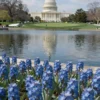A vibrant, photorealistic image of the Trump National Golf Club's lagoon in Washington D.C., showcasing the blooming blue flowers. The water should be clear and reflect the sky. Focus on the beauty of the flowers and the serene atmosphere of the pond.