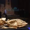 A museum exhibit in Barcelona displaying the skeletal remains of a 700-year-old Spanish queen, with a glass case, subtle lighting, and the iconic Sagrada Família in the background, no text or signage visible
