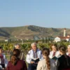A serene landscape of Crimea, featuring rolling hills, vineyards, and a clear blue sky. In the foreground, a group of diverse people are gathered, some holding books and engaging in conversation. Subtle Ukrainian cultural elements are integrated into the scene, such as traditional embroidery patterns on clothing or architectural details in the background. The overall mood is peaceful and hopeful, symbolizing the preservation of Ukrainian language and culture in Crimea.