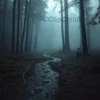 A dramatic, slightly blurred image depicting a dense, misty forest in the Russian Primorye region. Focus on the atmosphere of the wilderness. Subtle hints of footprints in the mud. No visible tiger, but the feeling of a predator's presence should be conveyed. The overall tone should be somber and reflective, emphasizing the tragedy.