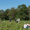 A sunny day in Voronezh Oblast with bright blue sky, green fields, and people enjoying warm weather around 27 degrees Celsius, trees in full leaf, light clothing on bystanders, no clouds or rain