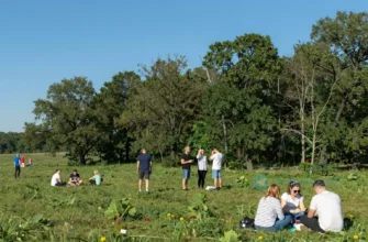 A sunny day in Voronezh Oblast with bright blue sky, green fields, and people enjoying warm weather around 27 degrees Celsius, trees in full leaf, light clothing on bystanders, no clouds or rain