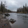A somber riverbank in Yakutia, with wet rocks and flowing water, surrounded by sparse boreal trees under a gray overcast sky, no people visible, a small child's shoe lying near the water's edge