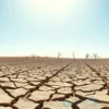 A panoramic view of a dry, sun-baked landscape in the Volgograd region, Russia. Cracked earth stretches towards the horizon under a bright, cloudless sky. In the distance, a few withered trees are visible. The overall color palette should be warm and earthy, emphasizing the heat and dryness.