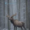 A majestic moose standing in a snowy forest in Serpukhov, Russia. The moose should be the central focus, with a blurred background of trees and snow-covered ground. The lighting should be soft and natural, suggesting a winter day.