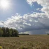 A sunny day in Pomorye, Russia, on June 11th. The scene depicts a landscape with fields, trees, and a blue sky with a few fluffy clouds. The sun is shining brightly, suggesting warm weather. In the distance, a hint of a storm with dark clouds and strong winds can be seen.