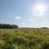 A bright, sunny day in the Moscow region on June 11th. The scene depicts a landscape with a clear blue sky and a shining sun. Fields of green grass and trees are visible in the background. The overall mood is warm and pleasant, reflecting a temperature of +29 degrees Celsius.