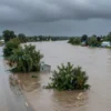 Flooded rivers overflowing their banks in northern Khabarovsk Krai, with water submerging roads, trees, and nearby buildings. Show swollen rivers, displaced water, and affected landscapes under a stormy sky.