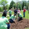 A group of people, including employees and former prisoners, working together to beautify a children's park. They are planting trees, laying down mulch, and building playground equipment. The scene is set in a sunny day with greenery and a sense of community collaboration.