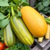 Ульяновцам рассказали, как выбрать качественные овощи и фрукты летом