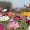 A vibrant garden scene with various flowers in full bloom, surrounded by bees and butterflies. The flowers should display a range of colors and shapes, with some petals slightly open to show their inner structures. The bees should be actively collecting pollen, and the butterflies should be fluttering around the flowers. The background should be a soft, natural setting with green foliage and a clear sky.