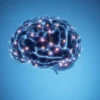 A human brain with visible neural pathways glowing softly, showing signs of early neuroplastic change — synapses forming and reconnecting in subtle, dynamic patterns — set against a calm, neutral background with soft gradients of blue and gray to suggest quiet transformation before any outward symptoms of dementia appear