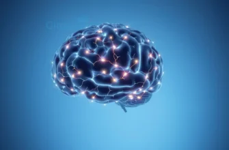 A human brain with visible neural pathways glowing softly, showing signs of early neuroplastic change — synapses forming and reconnecting in subtle, dynamic patterns — set against a calm, neutral background with soft gradients of blue and gray to suggest quiet transformation before any outward symptoms of dementia appear