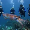 A group of scientists observing a giant squid in its natural deep-sea habitat, with bioluminescent creatures around, using submersible equipment and underwater cameras to study the squid's behavior
