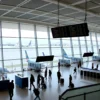 A large international airport terminal with modern glass architecture, multiple runways visible outside large windows, airplanes parked at gates, travelers with luggage moving through the spacious terminal, digital flight information displays showing departure boards, subtle signs of temporary closure like caution tape and closed check-in counters, but no people or text visible
