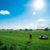 A sunny day in the countryside of Voronezh region, Russia, with a clear blue sky and lush green fields. A thermometer showing a temperature of 29 degrees Celsius. People enjoying outdoor activities like walking, picnicking, and playing sports. The scene should capture the warmth and vibrancy of a summer day.