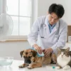 A veterinarian in a clinic setting, wearing a white coat and stethoscope, gently applying a cool compress to a distressed dog and a cat. The scene shows a small, bright room with a portable fan blowing cool air, a shallow bowl of water, and a thermometer indicating high temperature. The animals look relieved, and the vet's caring expression conveys reassurance. The background includes a window with a subtle heat haze effect, emphasizing the abnormal heat outside.