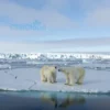 A dramatic Arctic landscape showing melting sea ice with visible cracks and open water, polar bears standing on shrinking ice floes, distant glaciers calving into the ocean, under a pale blue sky with subtle signs of climate change like thin clouds and distant industrial haze on the horizon, scientific instruments like buoys and sensors partially visible in the foreground, conveying urgency and scientific observation