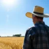 A farmer in a straw hat stands in a field of golden wheat under a clear blue sky. The field stretches to the horizon, with a few scattered trees in the distance. The sun is shining brightly.
