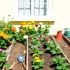 A sunny garden with flower beds arranged in neat rows under a window, showing vibrant flowers, green foliage, and a clear view of the window frame. Include a few gardening tools like a trowel and watering can nearby, with sunlight casting soft shadows on the soil.