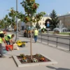 A bustling urban street in Smolensk undergoing beautification: workers in safety vests installing new street furniture, planting trees and flower beds along the sidewalk, a partially constructed pedestrian bridge, and a modern park area with benches and a fountain. The scene shows a mix of construction equipment, landscaping tools, and residents walking, all set against a backdrop of historic city buildings with a clear blue sky.