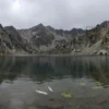 A serene mountain lake surrounded by rugged peaks, with subtle signs of environmental danger such as discolored water, dead fish floating near the shore, and faint toxic algae blooms visible beneath the surface, under a pale, overcast sky — conveying quiet threat without text or symbols