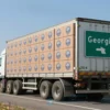 A large cargo truck loaded with boxes of fish, driving on a highway with a sign indicating the direction to Georgia. The truck is passing through a scenic landscape with fields and a clear blue sky. The boxes are labeled with the Astrahan region emblem.