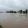 A wide-angle view of a river in Chita, Russia, with water levels visibly above the three-meter mark. The riverbanks are flooded, with water reaching nearby buildings and trees. The sky is overcast, suggesting recent heavy rainfall. People are seen observing the high water levels from a safe distance, with some taking photographs. The scene captures the impact of the rising river on the local environment and community.