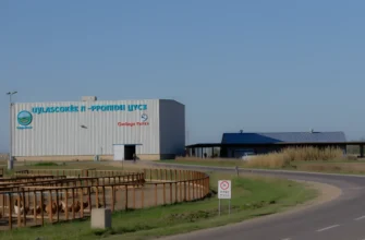 A modern industrial scene with a large agricultural company building labeled 'Тульское ООО «Агрофид Рус»' prominently displayed on a sign, standing near a poultry farm with visible chicken coops and birds. The setting should include a rural landscape with fields, a clear sky, and a road connecting the two facilities. The style should emphasize realism and clarity to highlight the relationship between the company and the poultry farm.