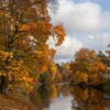 A serene autumn landscape in Yaroslavl, Russia, showing trees with golden and orange leaves, a calm river reflecting the colorful foliage, and a clear sky with soft clouds, evoking a gentle early autumn atmosphere