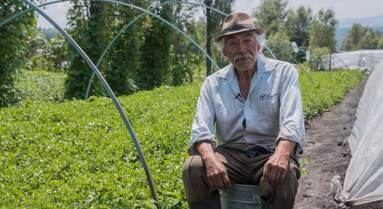 &laquo;Чинамперос&raquo; веками снабжали Мехико продуктами. Какое у&nbsp;них будущее?
