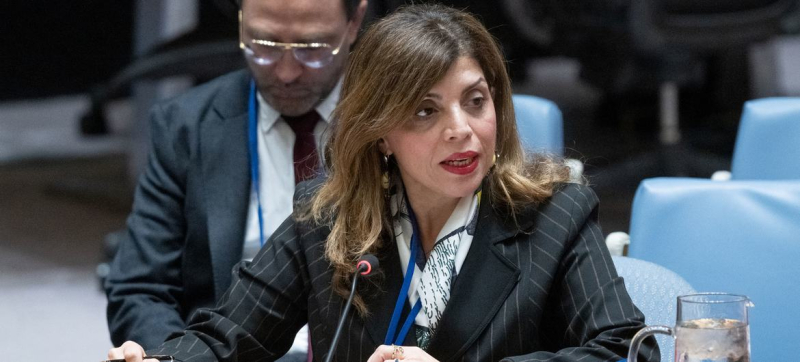 Спецпредставитель ООН указала на хрупкий прогресс и сохраняющиеся вызовы в Косово